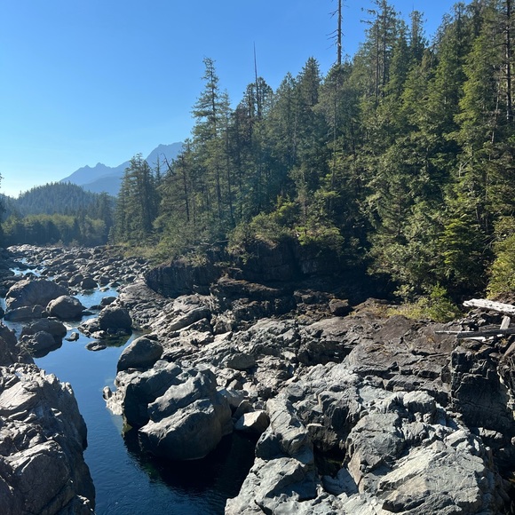 Shop with Chantelle 🌸🦋 - Picture 3 of 7